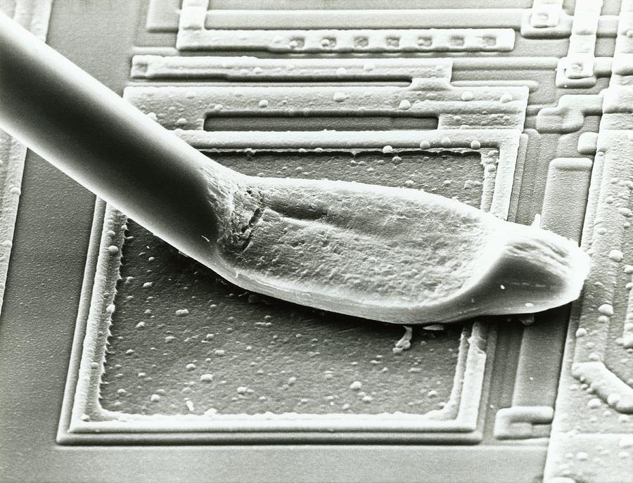 Micro-wire Photograph - Electron Micrograph Of Micro-wires Bonded To Chip by K. H. Kjeldsen/science Photo Library