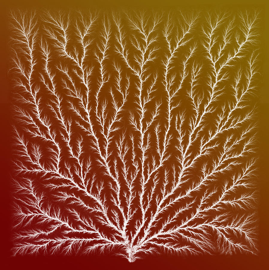 Electron Tree Or Lichtenberg Figure Photograph by Science Source