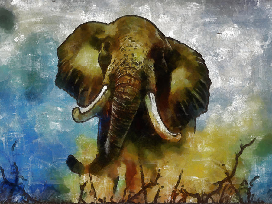 Elefante Digital Art by Galeria Trompiz - Fine Art America