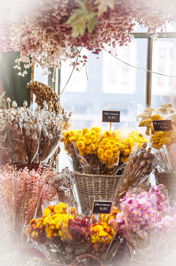 Elegance. Amsterdam Flower Market Photograph by Jenny Rainbow
