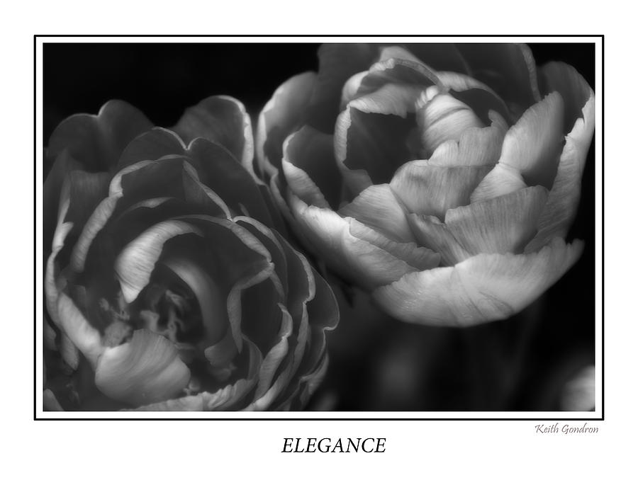 Elegance Photograph by Keith Gondron
