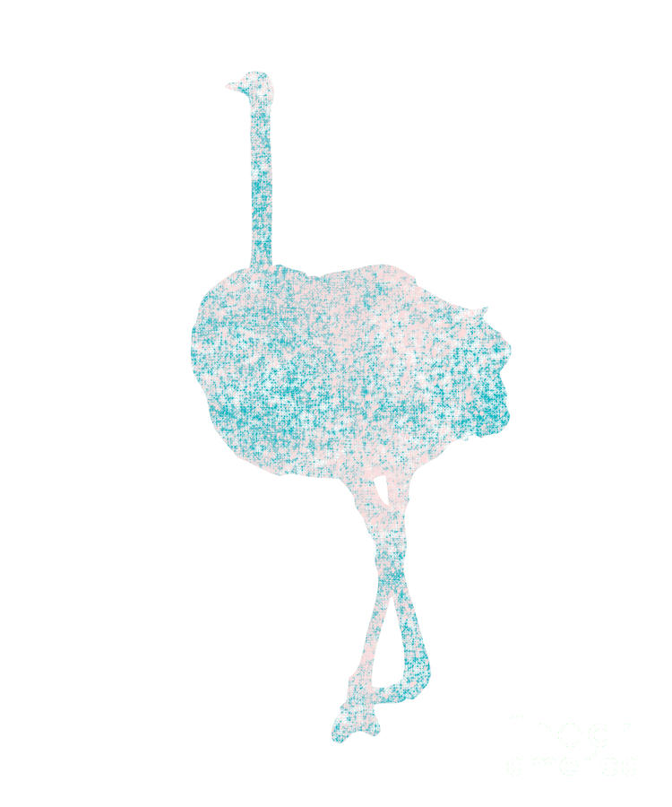 Elegance - Ostrich Digital Art by Trilby Cole