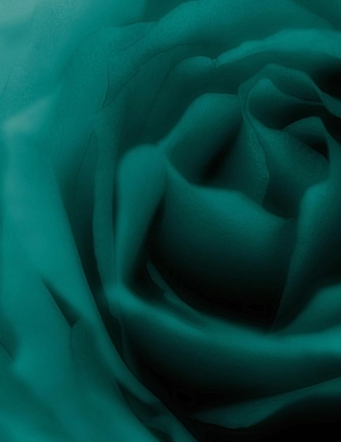 Abstract Photograph - Elegant Emerald by The Art Of Marilyn Ridoutt-Greene
