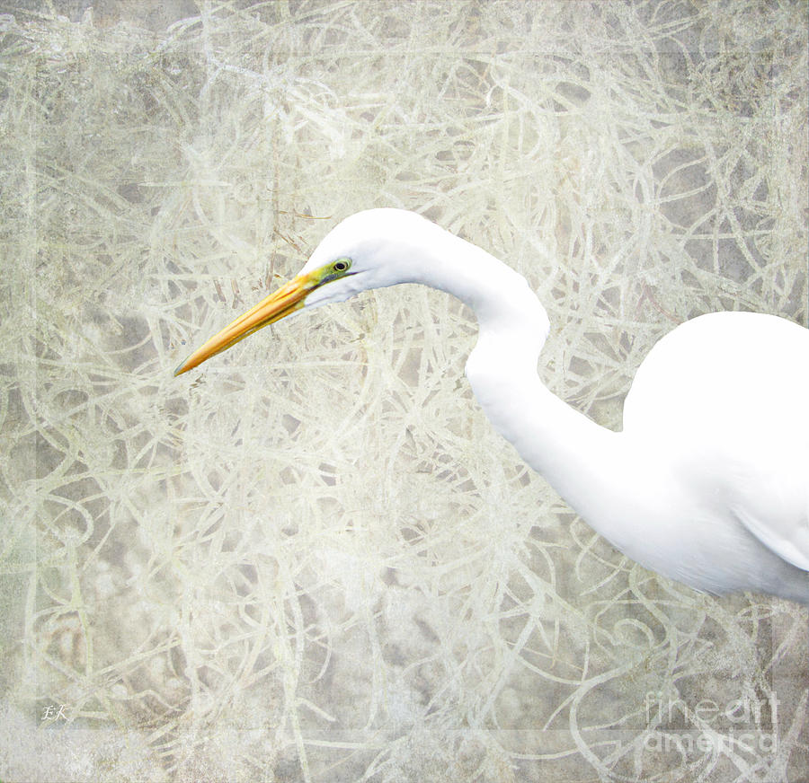 Great White Egret - Home Nature Decor Series Photograph by Ella Kaye Dickey