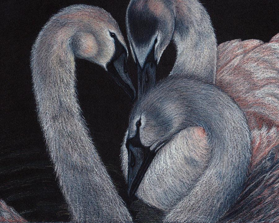 Nature Drawing - Elegant Whispers by Jo Prevost