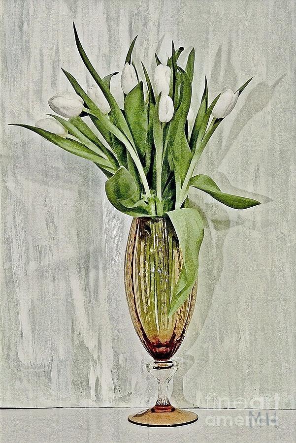 Elegant White Tulips Photograph by Marsha Heiken