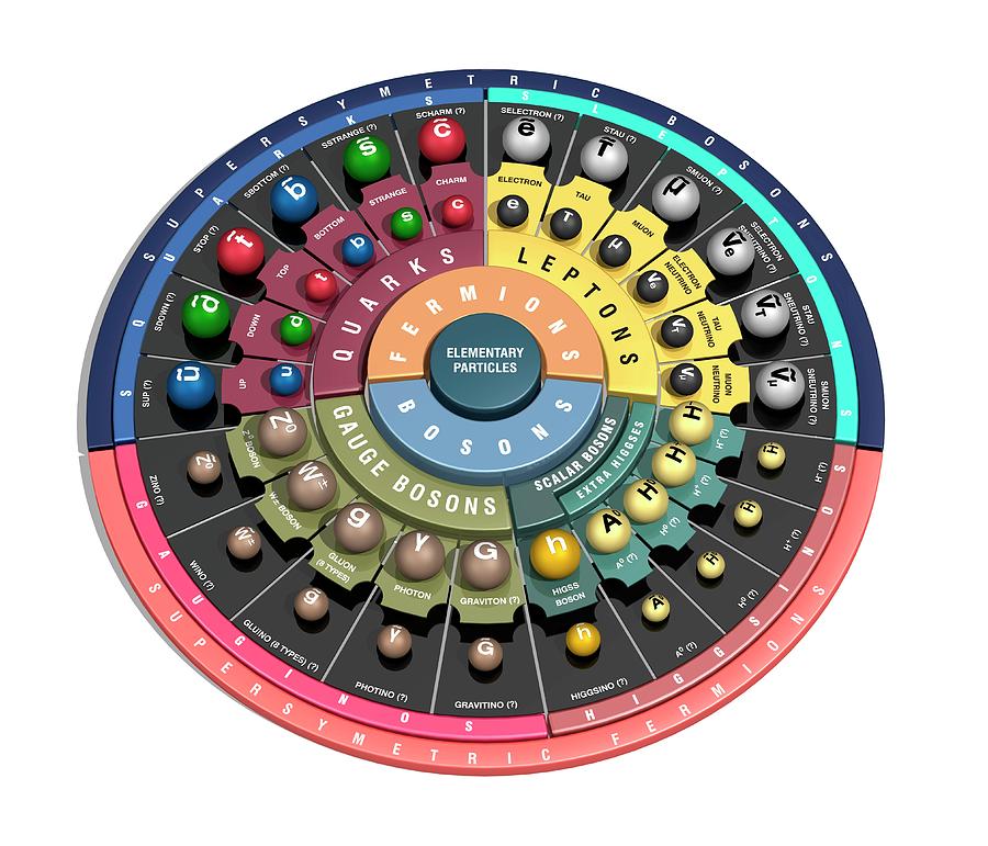 standard model particles