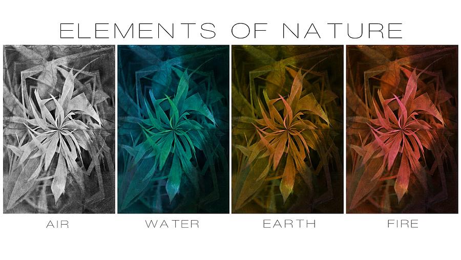 Elements Of Nature Photograph by Marianna Mills
