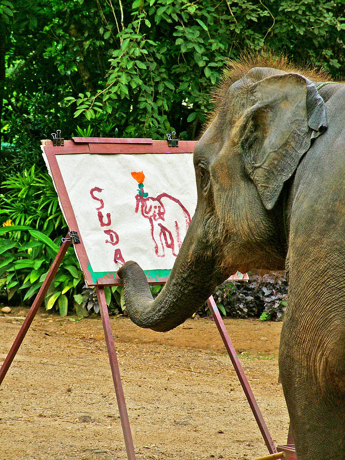 Elephant Artist in Mae Taeng Elephant Park near Chiang Mai-Thailand Photograph by Ruth Hager