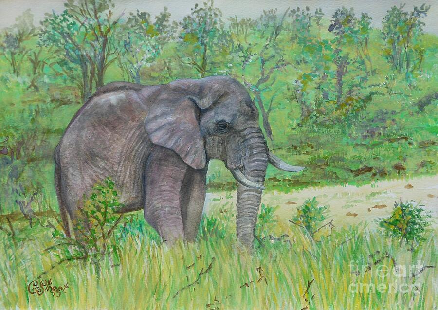 Elephant Painting - Elephant at Kruger by Caroline Street