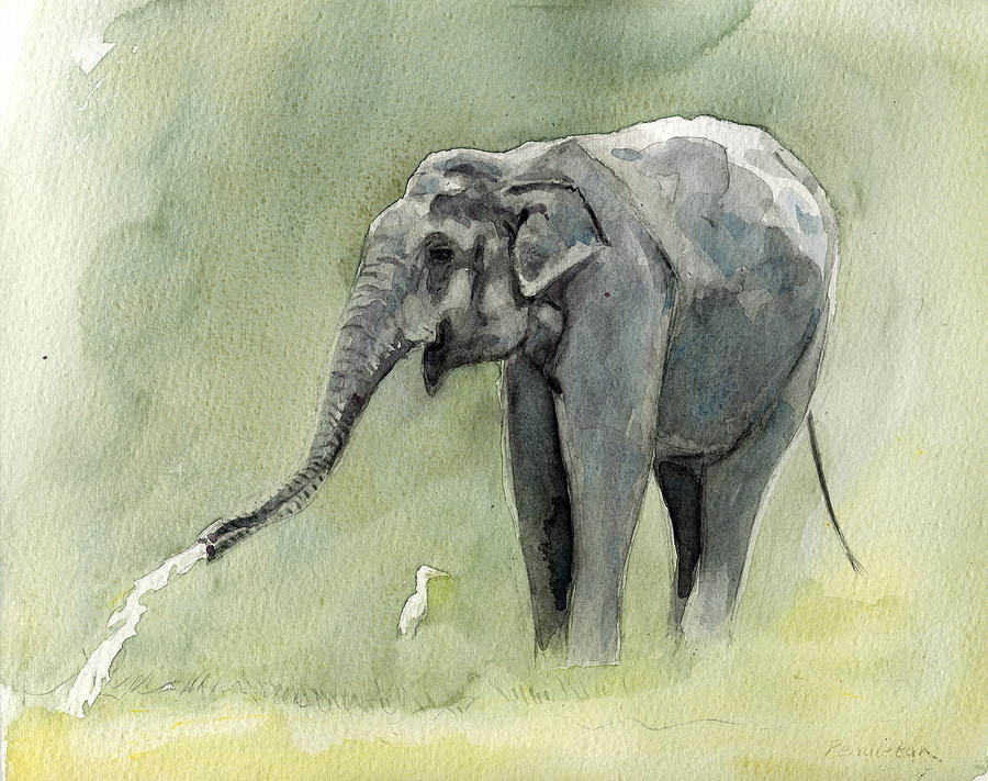 Yala National Park Painting - Elephant at Yala by Chris Pendleton