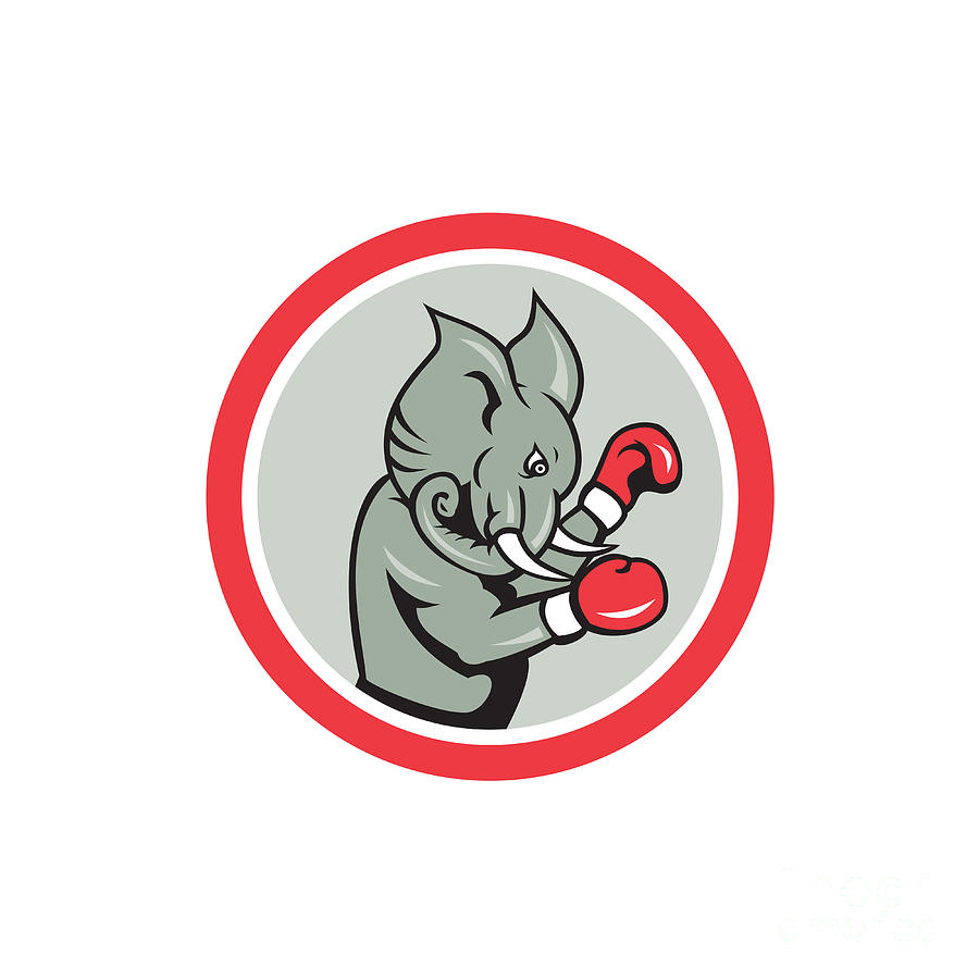 Wildlife Digital Art - Elephant Boxer Boxing Circle Cartoon by Aloysius Patrimonio