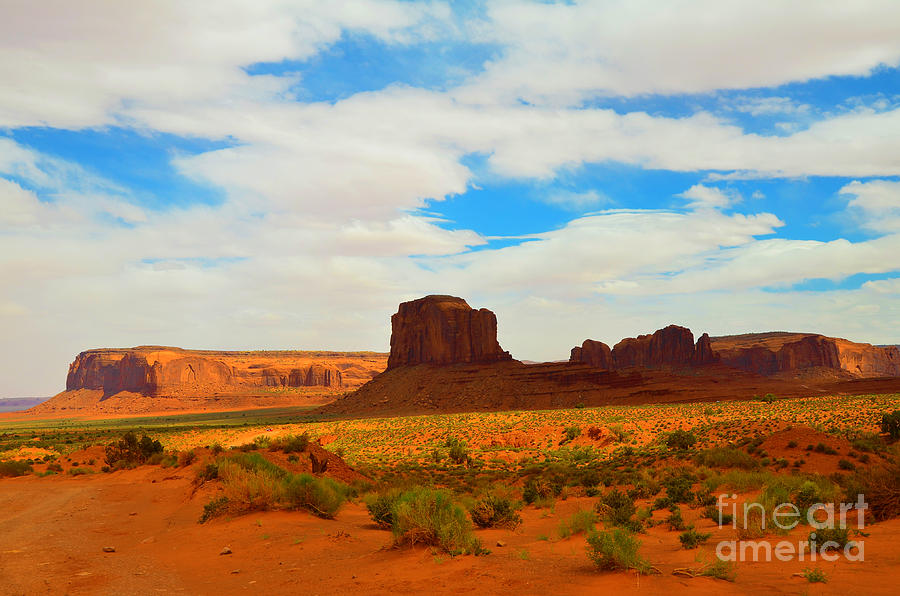 Elephant Butte at Monument Valley Photograph by Debra Thompson