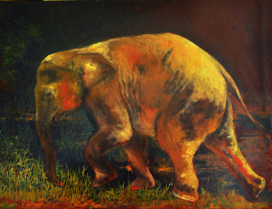 Elephant Calf Painting by Samantha H Wellallage - Pixels