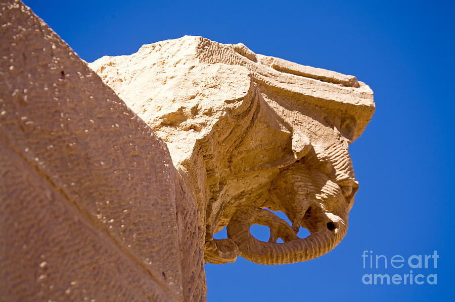 City Photograph - Elephant Capital, Petra, Jordan by Adam Sylvester