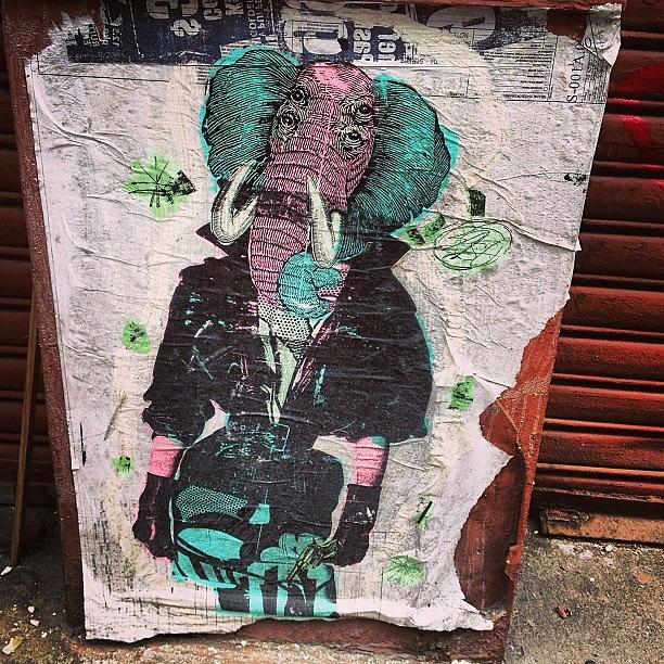 New York City  - Elephant Couture 🐘🎀 #streetart by Seen On The Streets Of Nyc