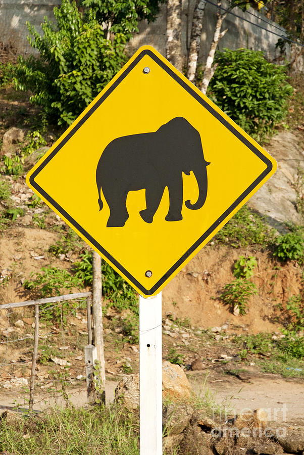 Elephant Crossing Road Sign In Thailand Photograph by JM Travel Photography