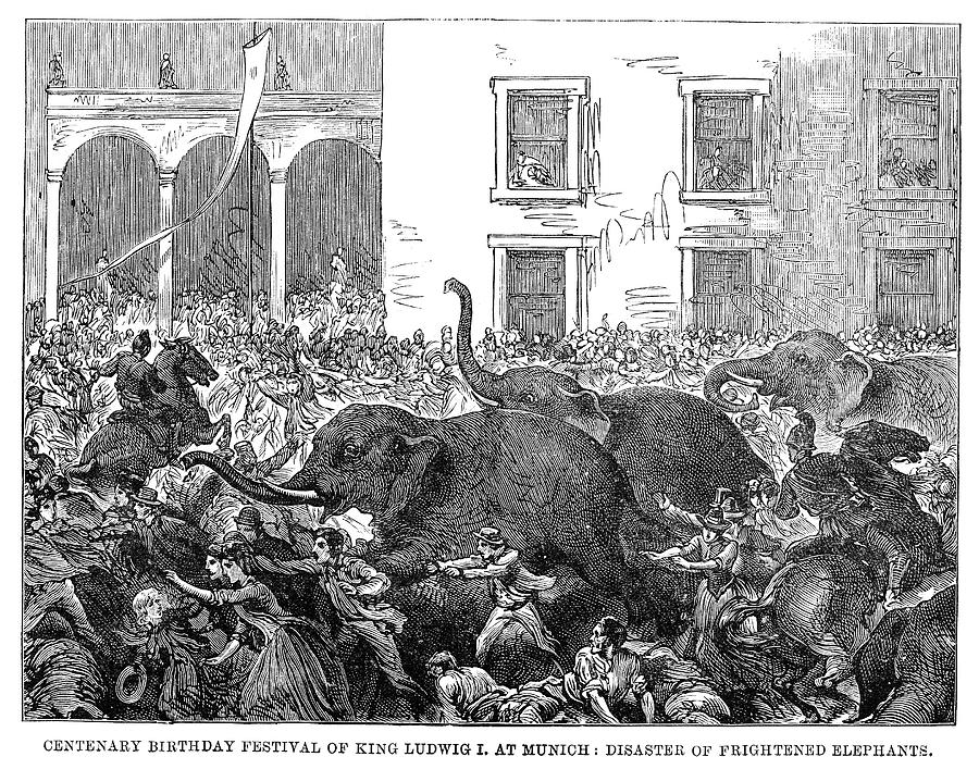Elephant Disaster, 1888 Painting by Granger