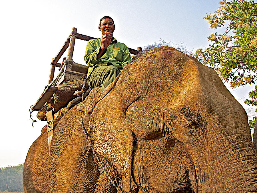 elephant-driver-on-elephant-in-chitwan-national-park-nepal-photograph