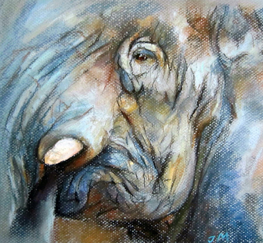 Elephant Eye Painting by Jieming Wang