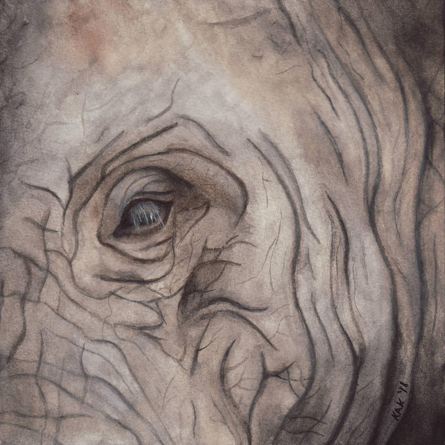 Elephant Eye Painting by Katherine Klimitas Fine Art America