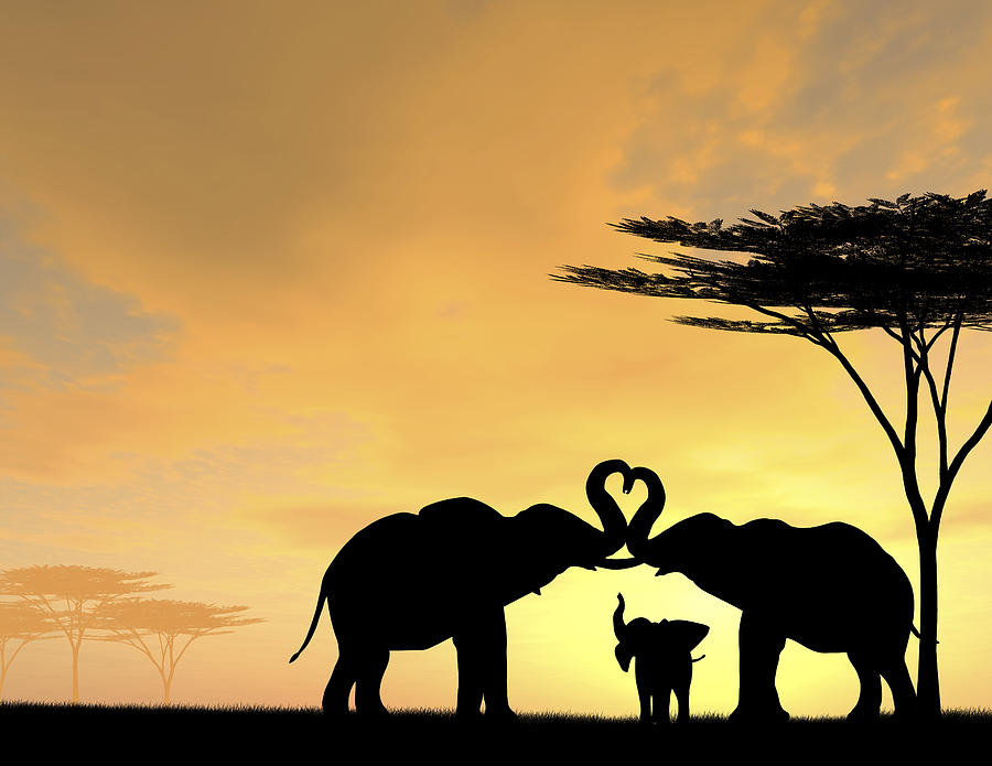 elephant-family-love-kim-freitas.jpg