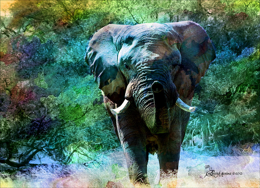 Elephant Photograph - ELEPHANT - Featured in Comfortable Art- Wildlife- and Nature WIldlife Groups by Ericamaxine Price