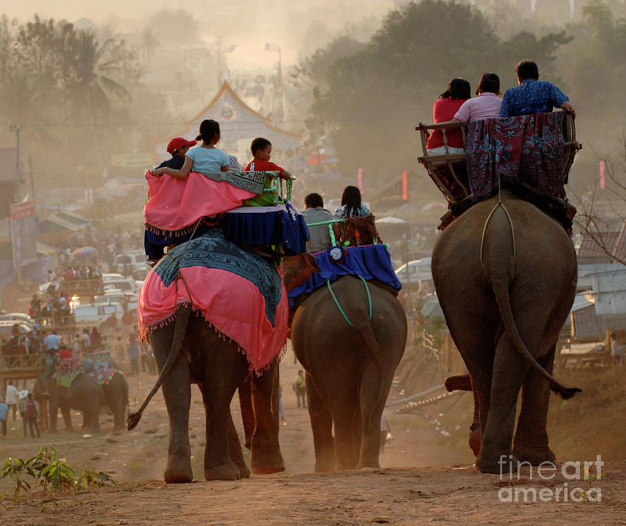 Elephant Festival Laos 2 Photograph by Bob Christopher