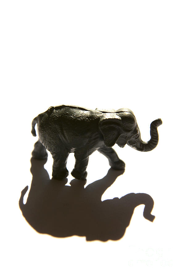 Elephant figurine Photograph by Bernard Jaubert