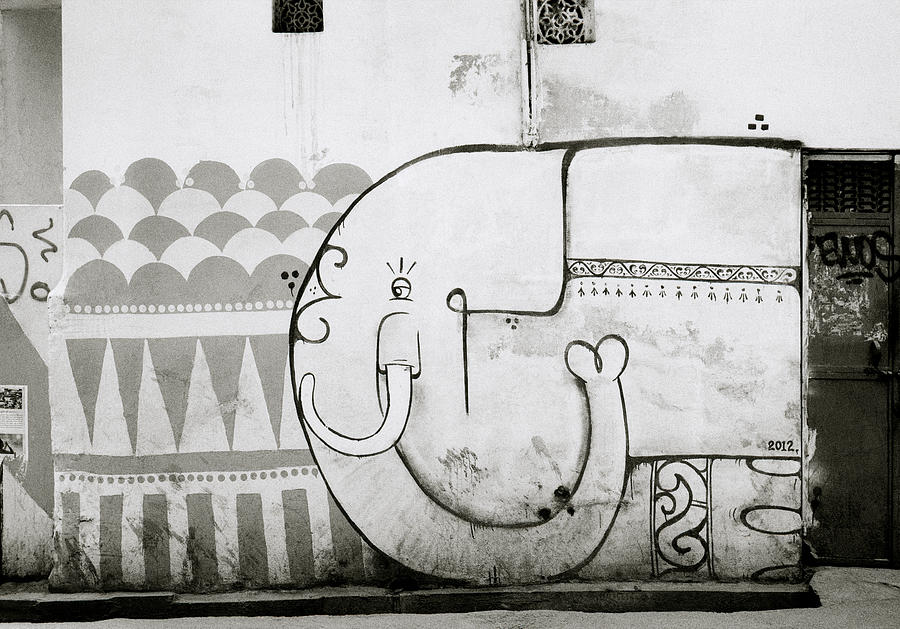 The Elephant Of Udaipur Photograph by Shaun Higson