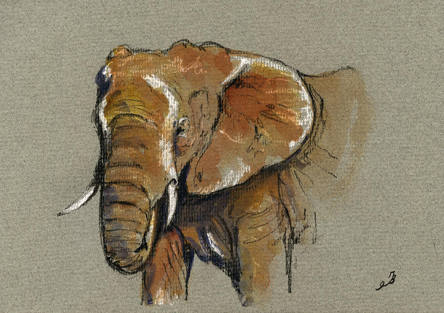 Nature Painting - Elephant head african by Juan  Bosco