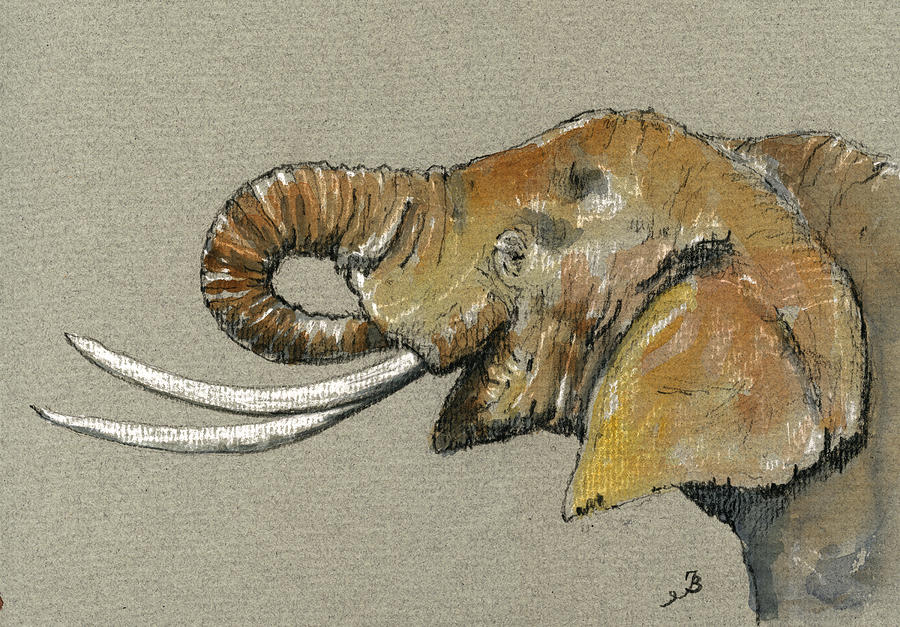 Wildlife Painting - Elephant head  by Juan  Bosco