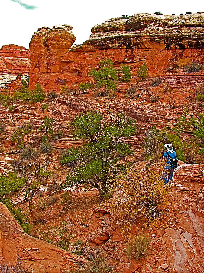 Elephant Hill Trail in Needles District of Canyonlands National Park-Utah Photograph by Ruth Hager