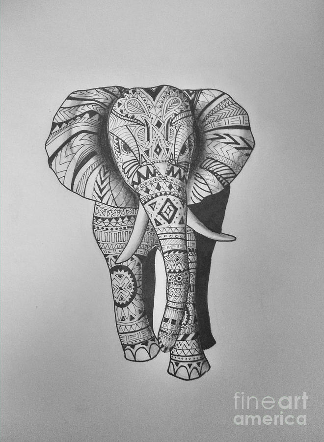 Elephant Drawing by Jessica Niven | Fine Art America