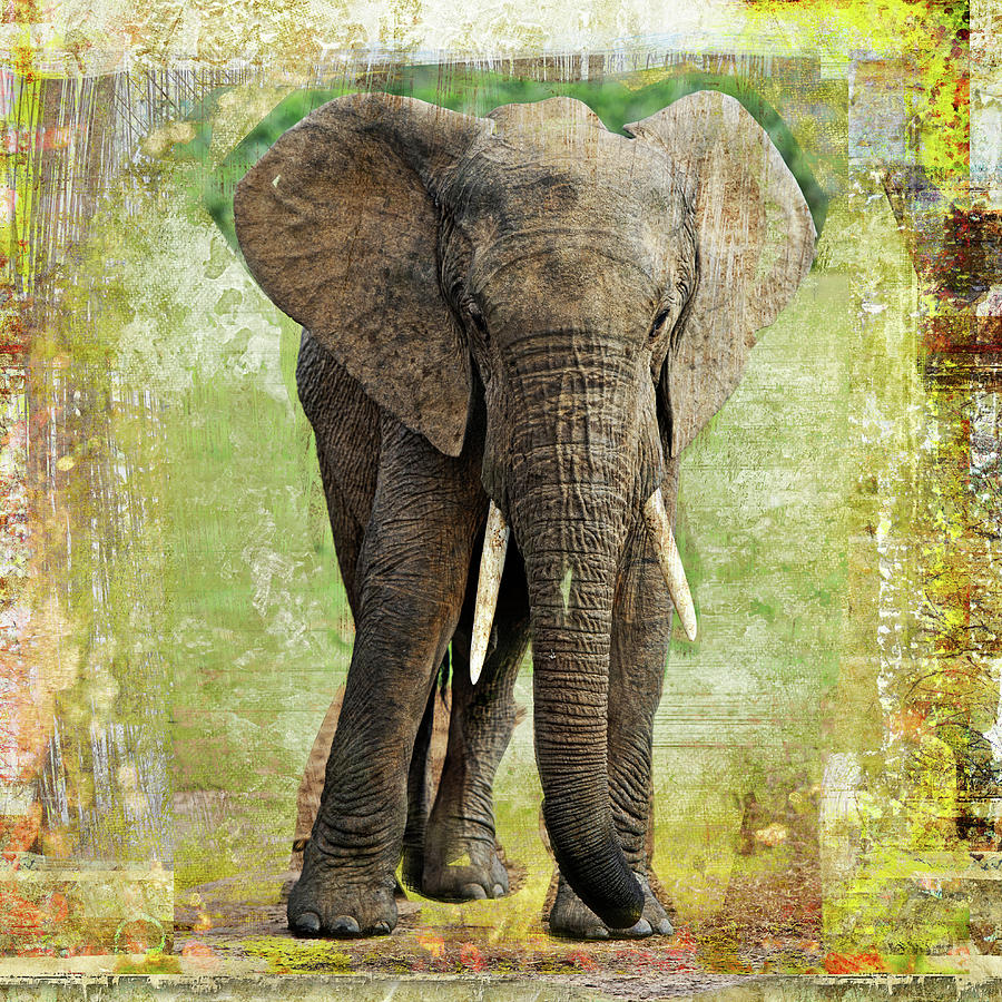 Elephant Digital Art by Luz Graphic Studio