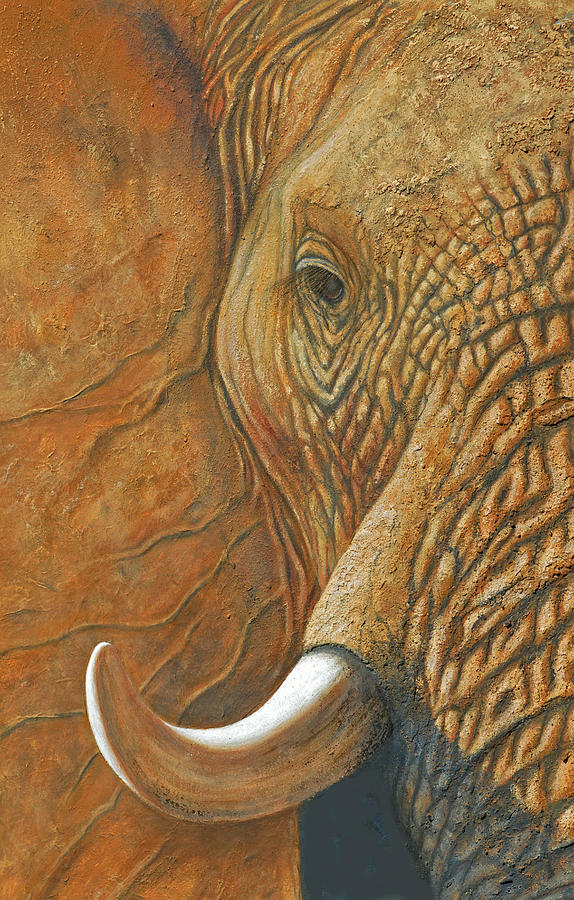 Elephant Matriarch portrait close up Painting by David Clode