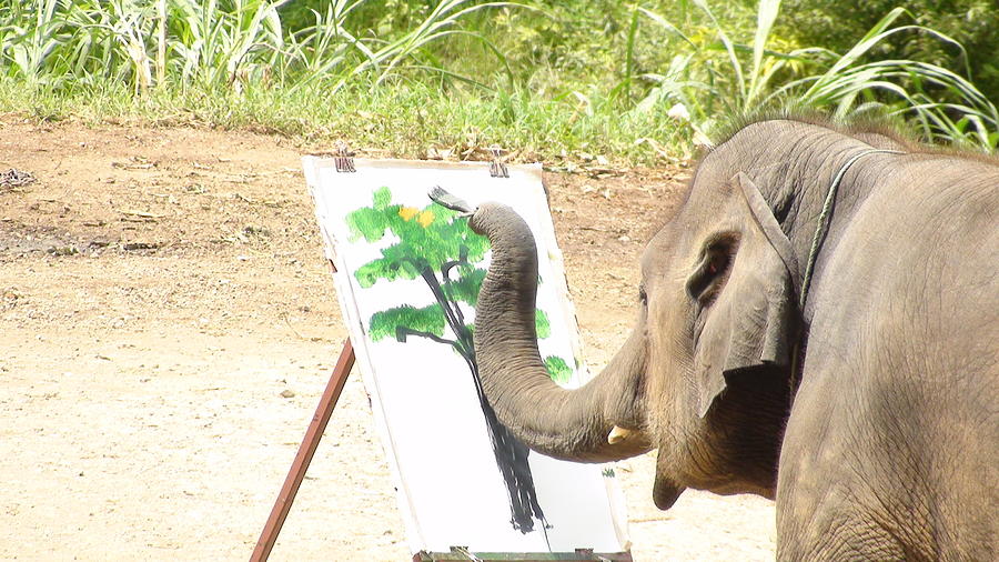 Animal Photograph - Elephant Charlie Paints The Tree Of Life by Thai Elephant Art