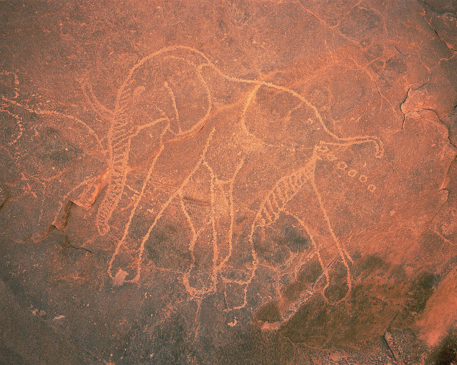 Elephant Petroglyph Photograph by David Parker/science Photo Library