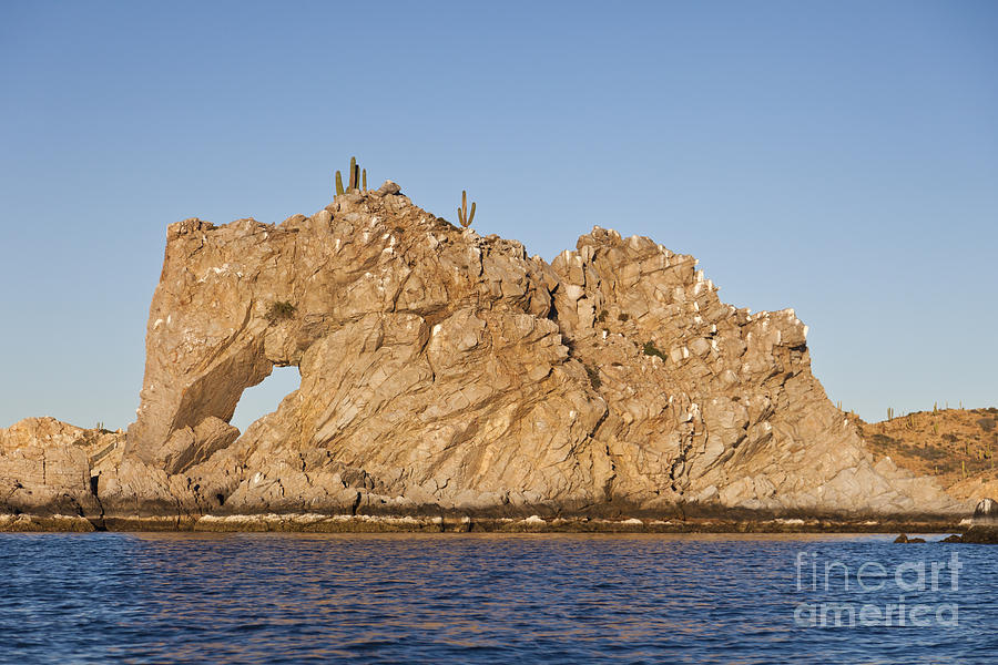 Elephant Rock Baja Califorina Sur  Photograph by Liz Leyden
