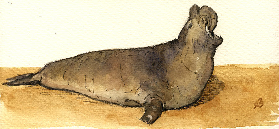 Wildlife Painting - Elephant seal by Juan  Bosco