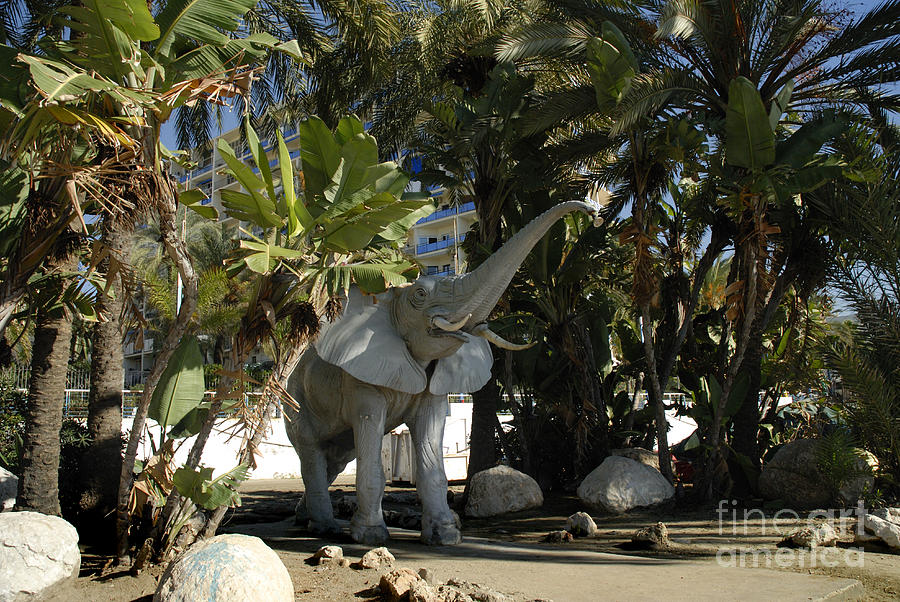 Elephant show in Marbella Photograph by Brenda Kean