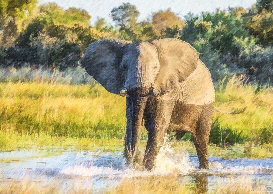 Elephant Splash Digital Art by Liz Leyden
