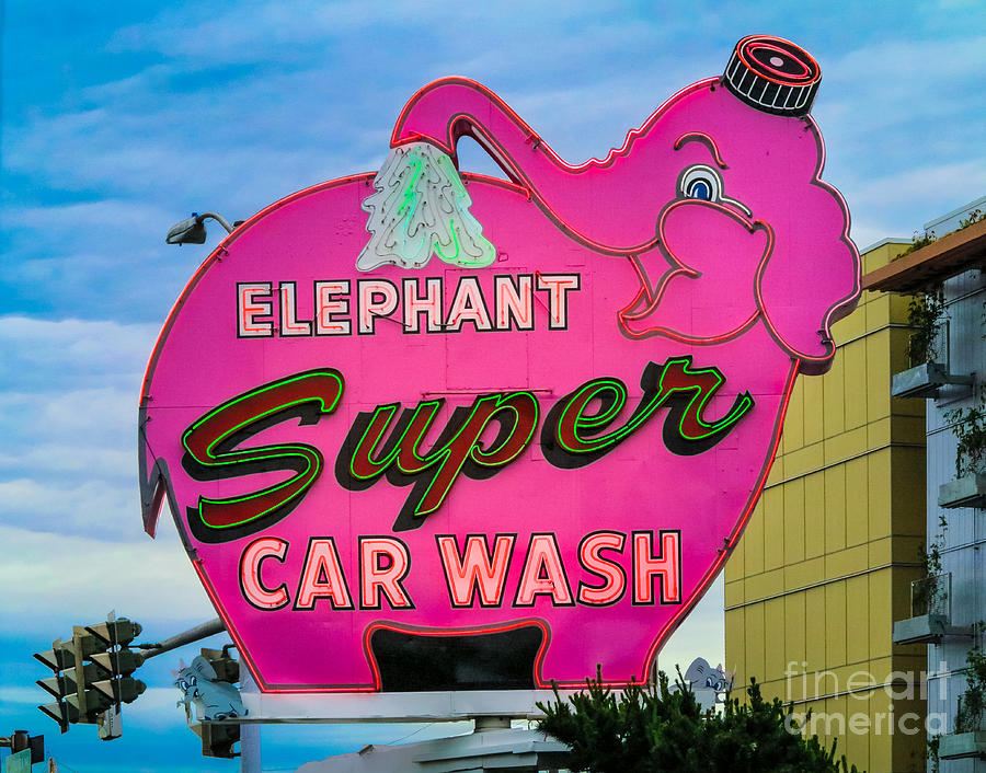 Seattle Photograph - Elephant Super Car Wash by Inge Johnsson