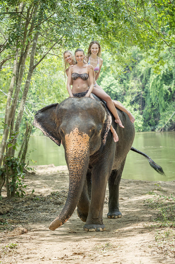 Elephant Trekking, Tourist Women on Vacation, Thailand Photograph by 4fr