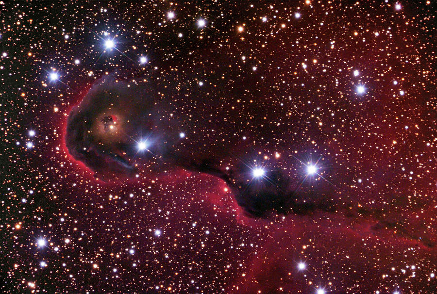 Space Photograph - Elephant Trunk Nebula (ic 1396a) by Robert Gendler & Jim Misti/science Photo Library