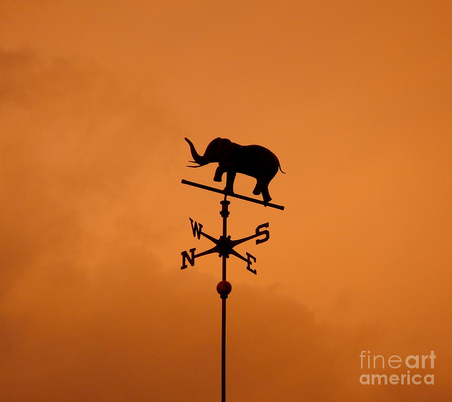 Elephant Weathervane Sunset Photograph by Glenn Gordon