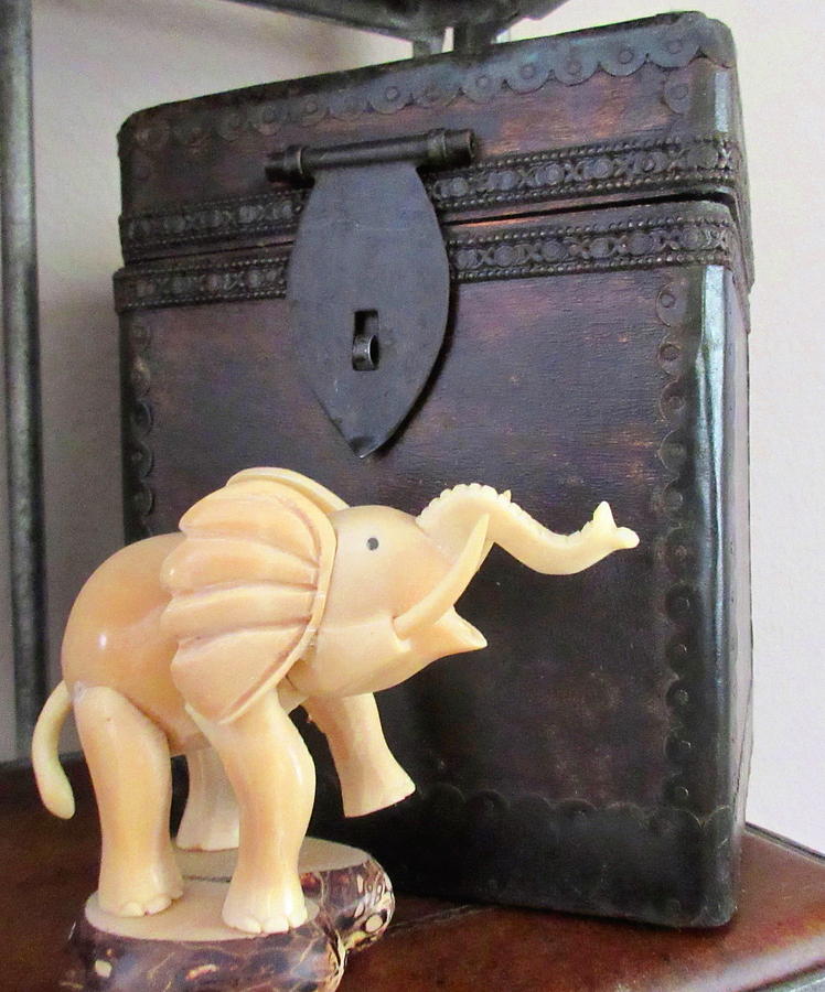 Elephant with Elephant Box Photograph by Ashley Goforth