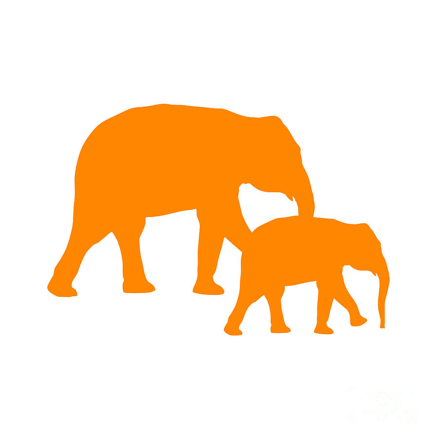 Elephants in Orange and White Digital Art by Jackie Farnsworth