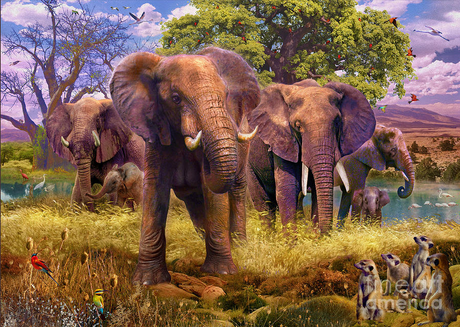 Elephant Digital Art - Elephants by MGL Meiklejohn Graphics Licensing