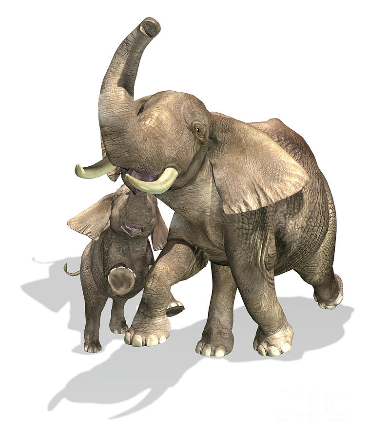 Elephants, Mother And Son Digital Art
